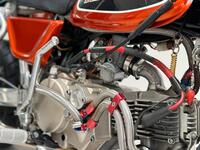 HONDA Monkey
